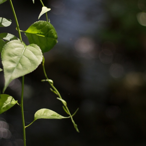 Meet your Posher, Julia - Picture 2 of 4